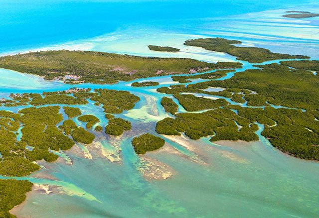 Key Largo | Primera isla de la Florida Keys