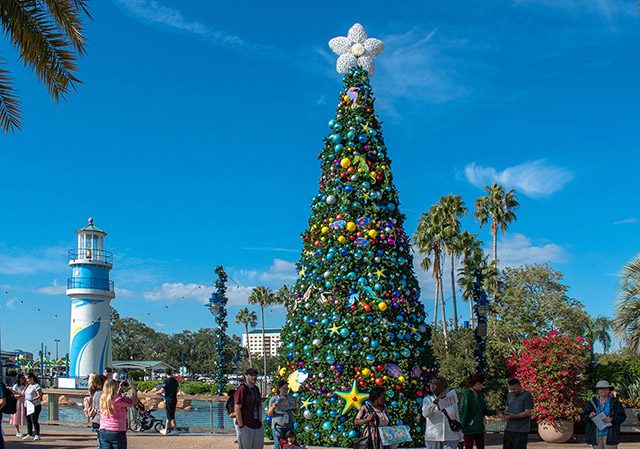 Navidad y Año Nuevo en Miami: donde celebrar y que hacer