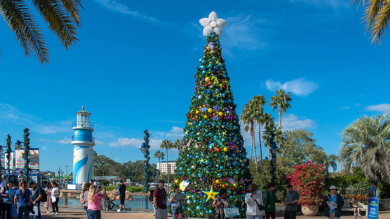 Navidad y Año Nuevo en Miami: donde celebrar y que hacer