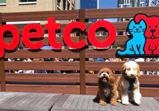 Petco | Petshop en Orlando y Miami