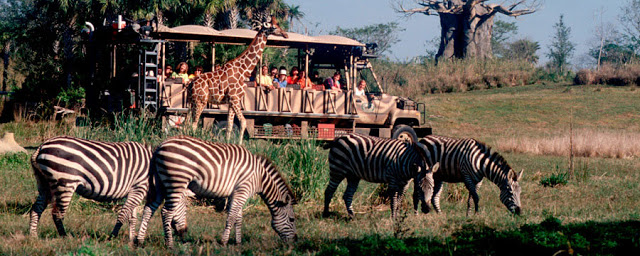 Kilimanjaro Safaris Expedición en Animal Kingdom