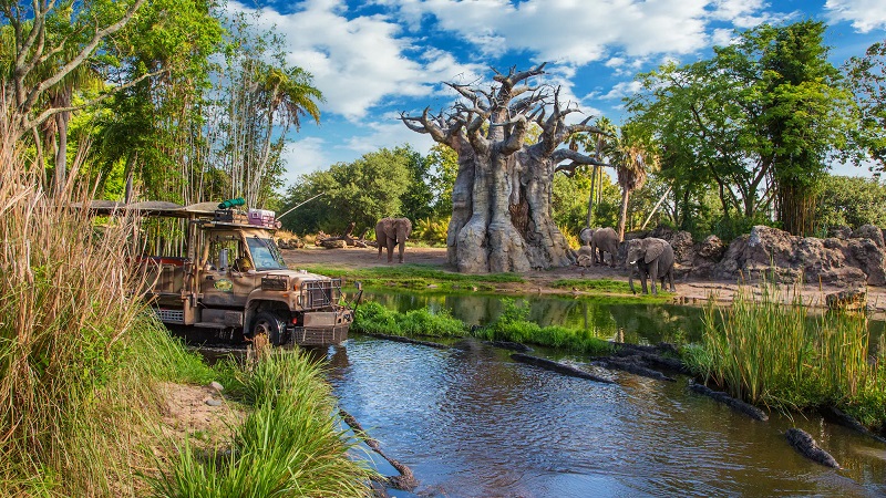 Mapa del Parque Disney Animal Kingdom en Orlando
