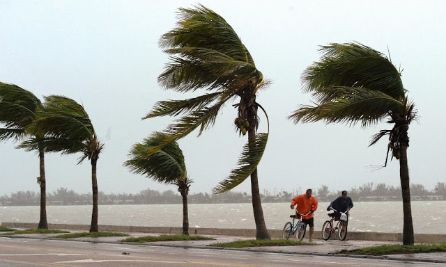 Fuerte vento en Miami