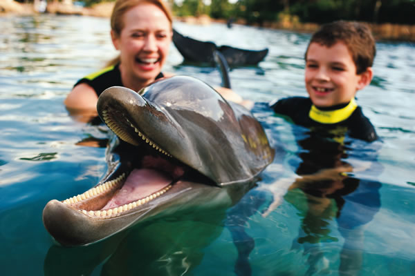 Animales marinos en Discovery Cove