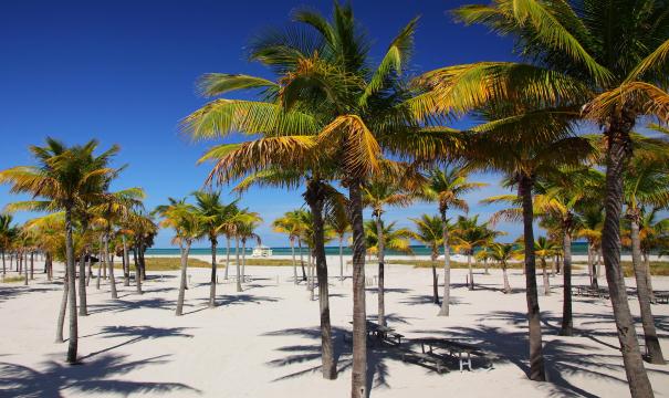 Otras playas buenas en Miami