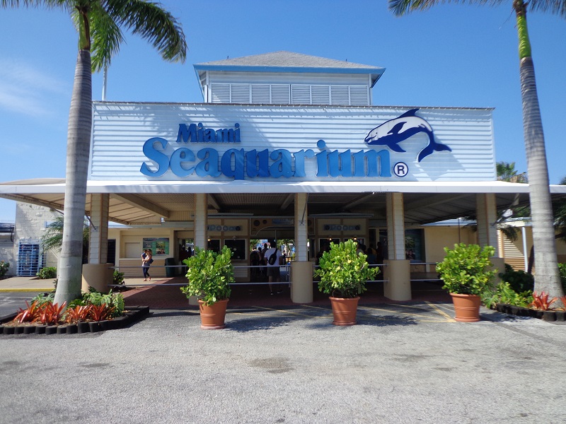 Miami Seaquarium: el mayor acuario de Florida
