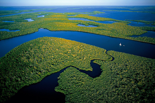  Everglades National Park en Flórida
