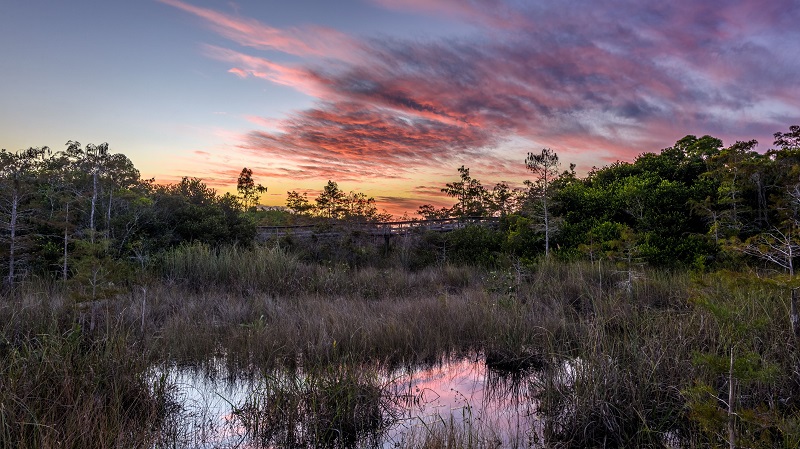 Everglades National Park en Flórida