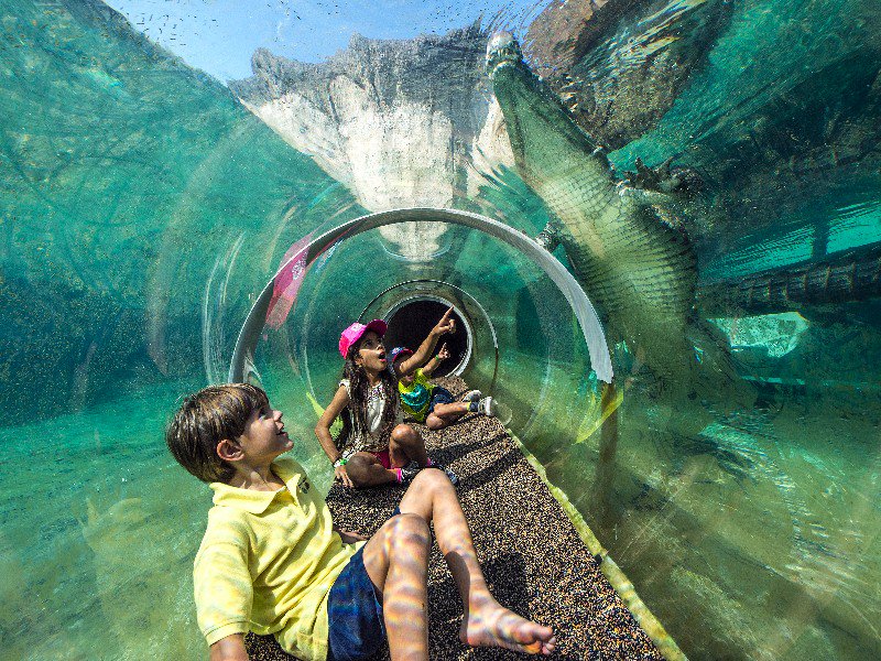 Niños en Zoológico de Miami Zoo en Florida